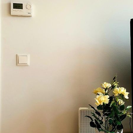 Near Lake Two Bedroom Fully Furnished Apartment Wien Exteriör bild